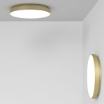 Venere Wall / Ceiling Light - Royal Gold