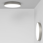 Venere Wall / Ceiling Light - Champagne