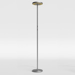 Sol Floor Lamp - Graphite / Matte Gold Reflector