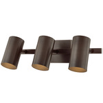 Rueben Bathroom Vanity Light - Bronze / Patina Brass