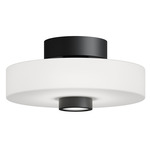 Sydney Color-Select Ceiling Light - Black / White