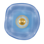 Embark Disc Wall Sconce - Gold Leaf / Blue