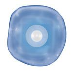 Embark Disc Wall Sconce - White / Blue