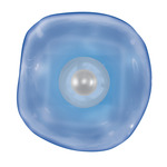 Embark Disc Wall Sconce - Silver Leaf / Blue