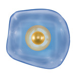Embark Disc Wall Sconce - Gold Leaf / Blue
