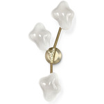 Cicero Wall Sconce - Champagne Brass / Frosted