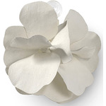 Virginia Wall Sconce - White / White