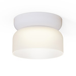 Totem Mini Ceiling Light - White / Etched White