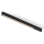 Offset Linear Ceiling Light - Black