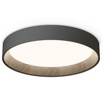 Duo Petra Ceiling Light - Matte Graphite