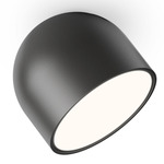 Plusminus Solo Wall / Ceiling Light - Black