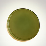 Caramel Wall Light - Black / Green