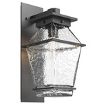 Landmark Outdoor Arm Wall Sconce - Argento Grey / Clear Hammered