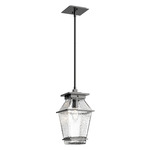 Landmark Outdoor Pendant - Argento Grey / Clear Hammered