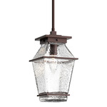 Landmark Outdoor Pendant - Statuary Bronze / Clear Hammered