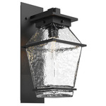 Landmark Outdoor Arm Wall Sconce - Textured Black / Clear Hammered