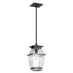 Landmark Outdoor Pendant - Textured Black / Clear Hammered