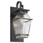 Landmark Outdoor Shepherds Hook Wall Sconce - Textured Black / Clear Hammered