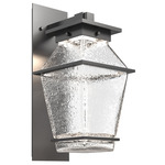 Landmark Outdoor Arm Wall Sconce - Argento Grey / Clear Hammered