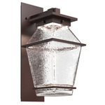 Landmark Outdoor Arm Wall Sconce - Statuary Bronze / Clear Hammered