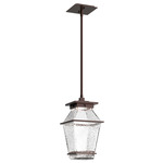 Landmark Outdoor Pendant - Statuary Bronze / Clear Hammered