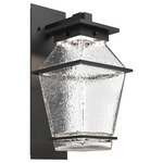 Landmark Outdoor Arm Wall Sconce - Textured Black / Clear Hammered
