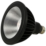 Sunlight2 PAR38 Med Base 18W 120V 15Deg Warm Dim 2-PACK - Black