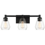 Clarity Bathroom Vanity Light - Coal / Clear