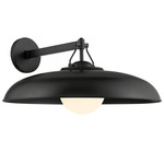 Cameo Shores Outdoor Wall Light - Coal / Etched Opal