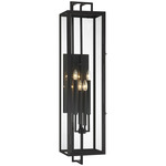 Knoll Road Outdoor Wall Light - Coal / Clear