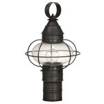 Caged Onion Clear Outdoor Post Light - Dark Brass / Clear