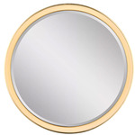 Tricia Color-Select Mirror with Light - Modern Iron / Gild / Mirror