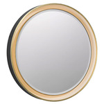 Tricia Color-Select Mirror with Light - Modern Iron / Gild / Mirror