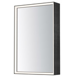 Bevel LED Mirror Medicine Cabinet - Brushed Black / Mirror