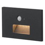 Path Color-Select Outdoor Step Light with Motion Sensor - Black