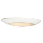 Diverse T24 Wet Location Ceiling Light - White / White