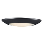 Diverse T24 Wet Location Ceiling Light - Black / White