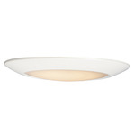 Diverse T24 Wet Location Ceiling Light - White / White