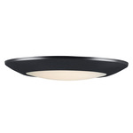 Diverse T24 Wet Location Ceiling Light - Black / White