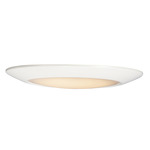 Diverse Color-Select Ceiling Light - White / White