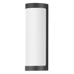 Halfpipe Color-Select Outdoor Wall Light - Black / White