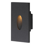 Path Pin Color-Select Outdoor Step Light - Black