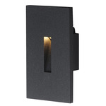 Path Slit Color-Select Outdoor Step Light - Black