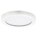 Chip Color-Select Round Ceiling Light - White / White