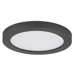 Chip Color-Select Round Ceiling Light - Black / White