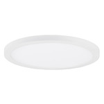 Chip Color-Select Round Ceiling Light - White / White