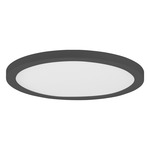 Chip Color-Select Round Ceiling Light - Black / White