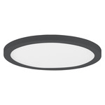 Chip Color-Select Round Ceiling Light - Black / White