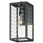 Magnus Outdoor Wall Sconce - Black / Clear