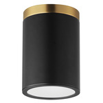 Dapper Ceiling Light - Black / Antique Brass / White